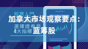 加拿大市场观察要点：蓝筹股