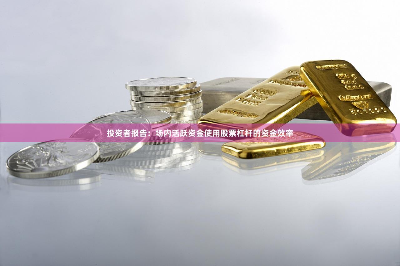 投资者报告：场内活跃资金使用股票杠杆的资金效率